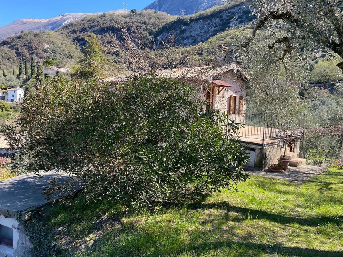Apartamento Olive Grove House Malcesine Exterior foto