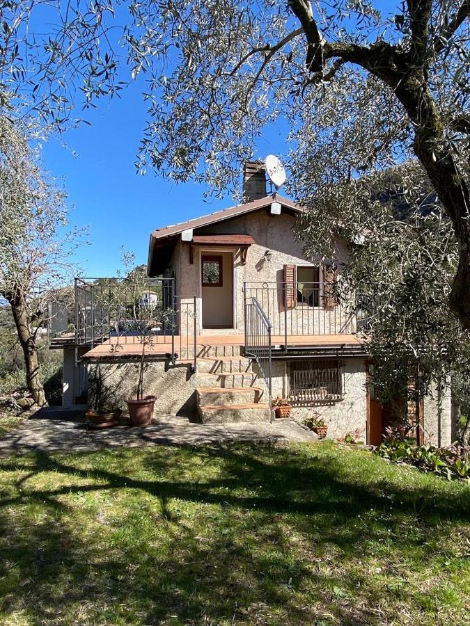 Apartamento Olive Grove House Malcesine Exterior foto