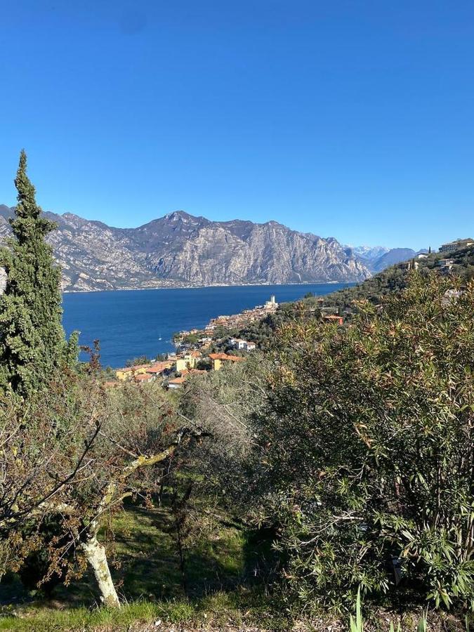 Apartamento Olive Grove House Malcesine Exterior foto